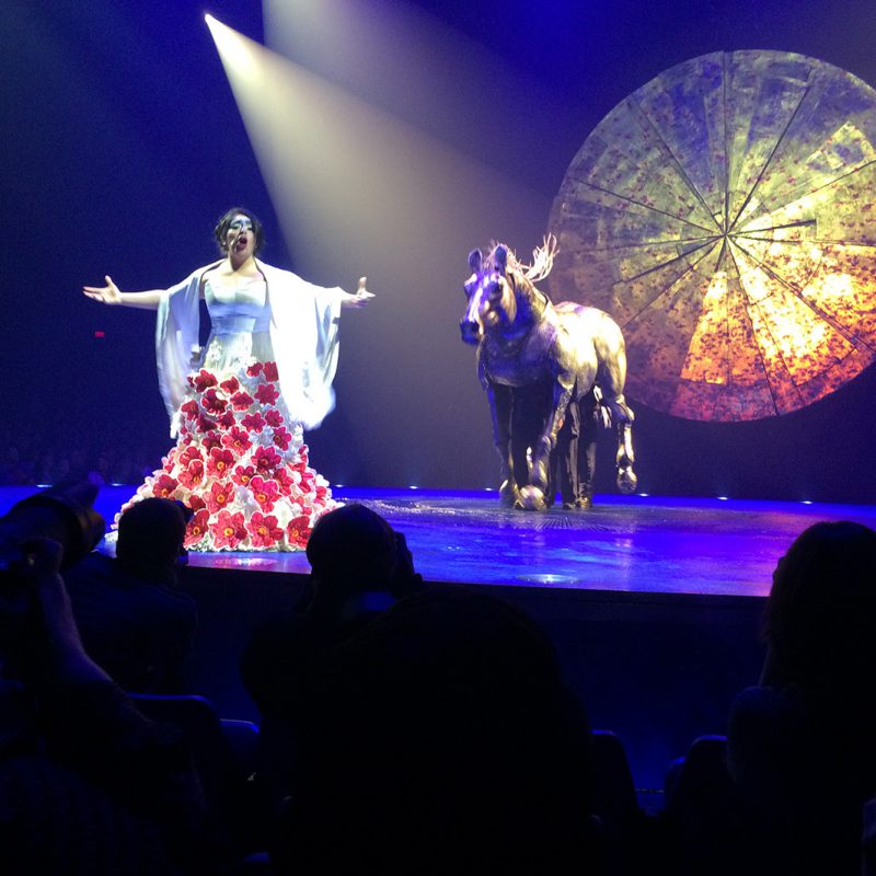 Luzia_performance_disk